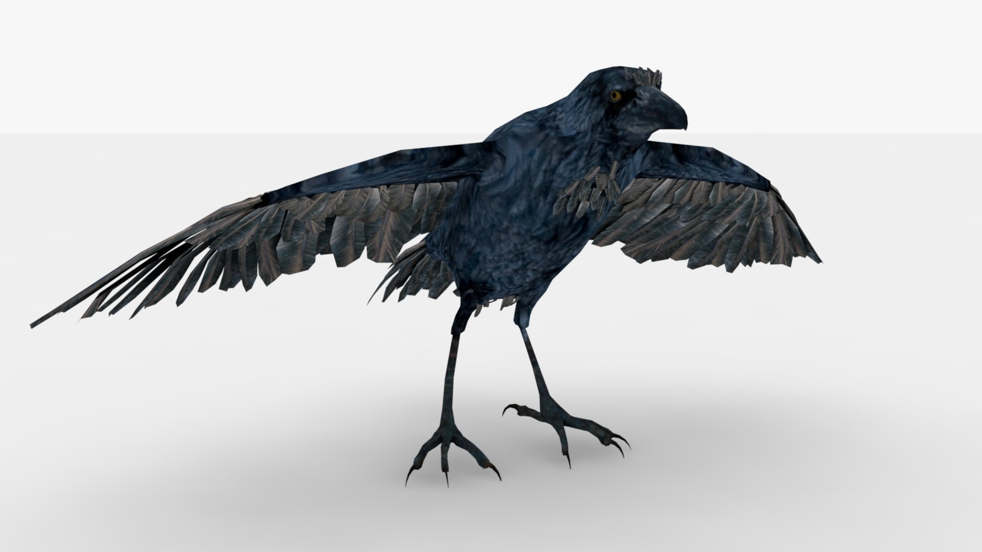 Crow Rigged And Animated 3D - TurboSquid 2348747