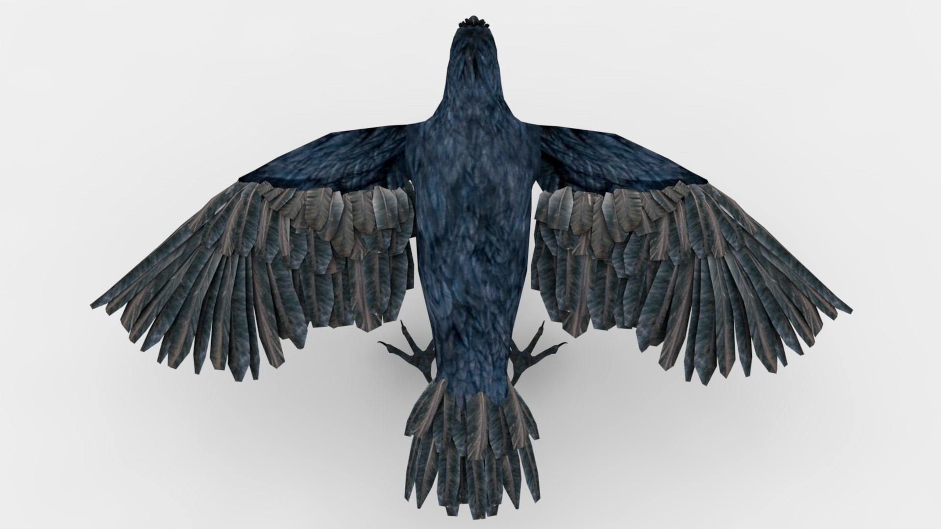 Crow Rigged And Animated 3D - TurboSquid 2348747