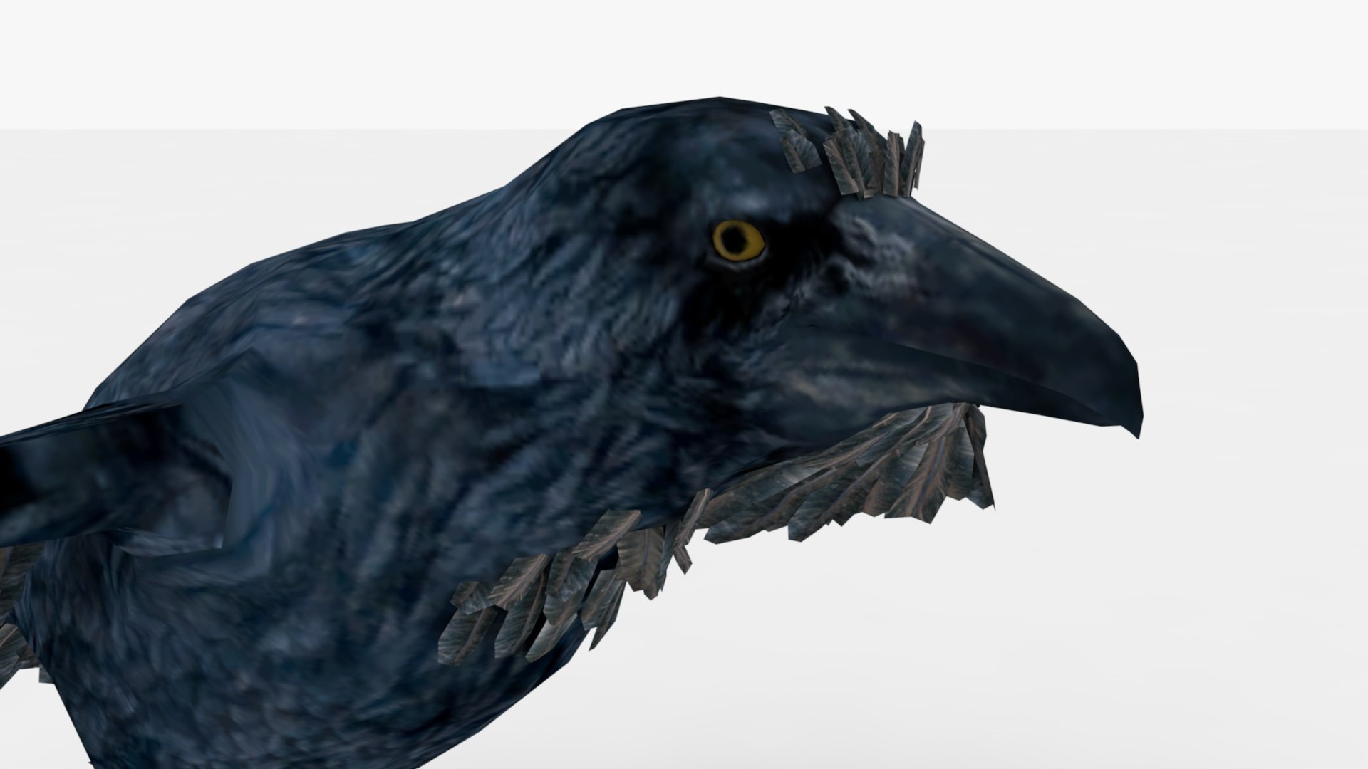 Crow Rigged And Animated 3D - TurboSquid 2348747