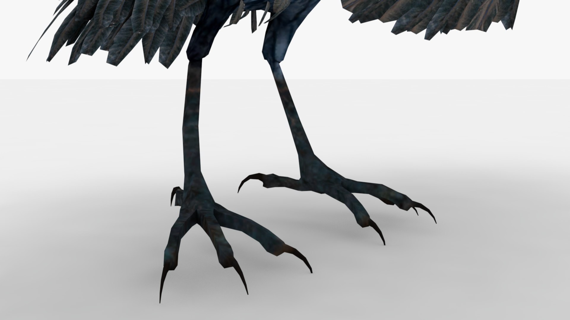 Crow Rigged And Animated 3D - TurboSquid 2348747