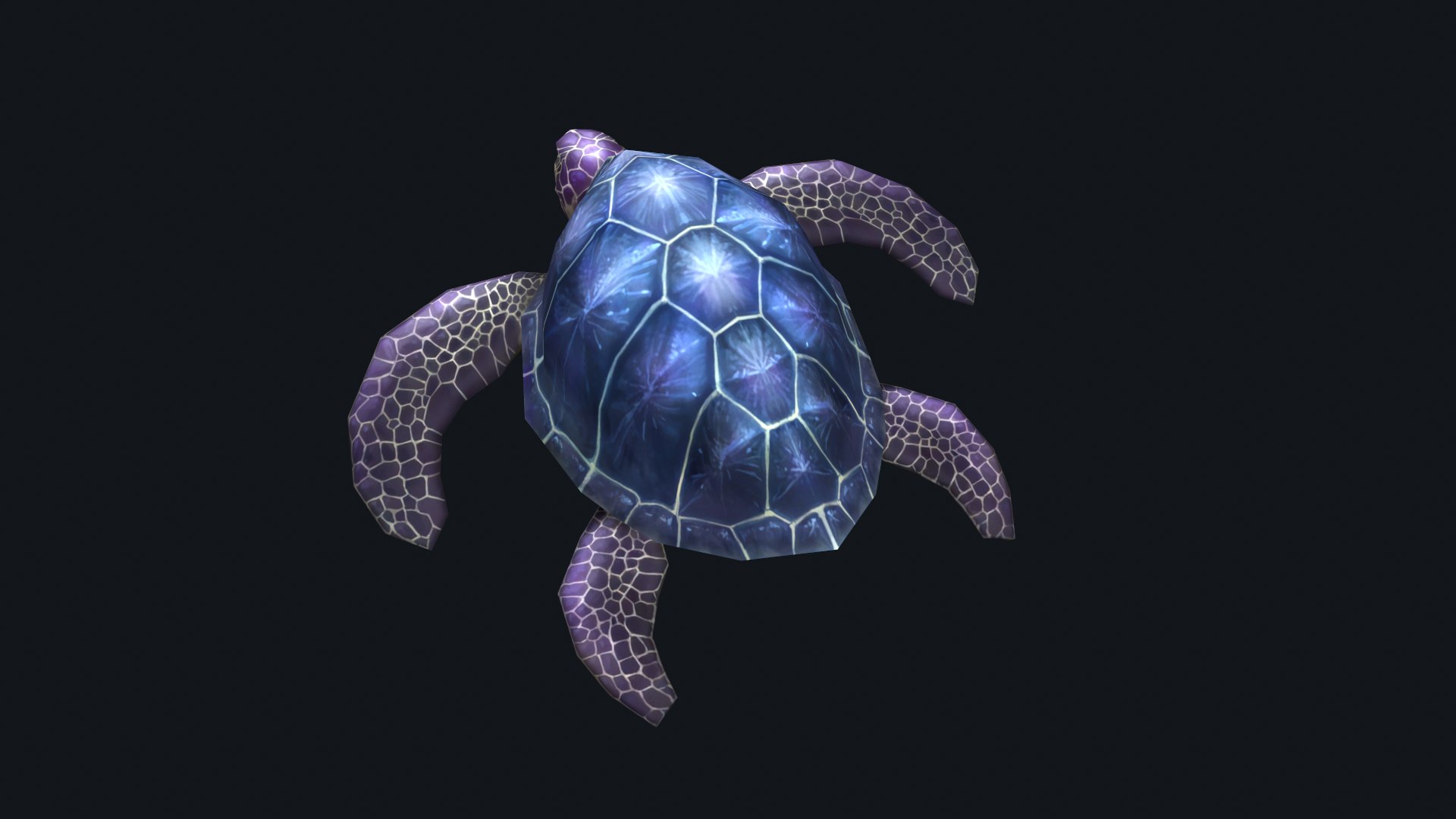 Low-poly Animated Turtle 3D - TurboSquid 2227147