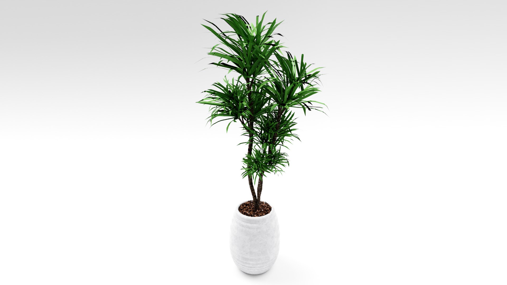 3D rhapis humilis plant pot https://p.turbosquid.com/ts-thumb/Lv/cUDkXg/9M/camera3/jpg/1614587679/1920x1080/fit_q87/aea5bc9aa482cc36a92818e9c2ae61ad340ea48e/camera3.jpg
