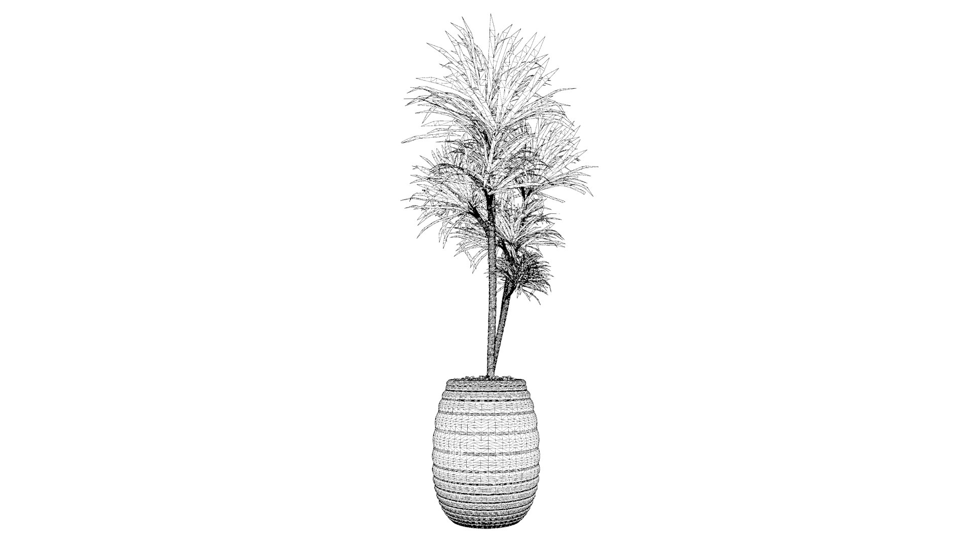 3D rhapis humilis plant pot https://p.turbosquid.com/ts-thumb/Lv/cUDkXg/WC/wireframe/jpg/1614587677/1920x1080/fit_q87/0229659d8732cd84cbb4771b2e876d63db8c7f73/wireframe.jpg