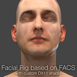 Facial Rig based on FACS