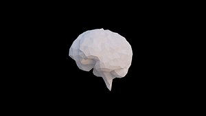 Origami human brain unfolding growing animation model