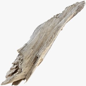 Peeling tree trunk in the real world 3d scan model