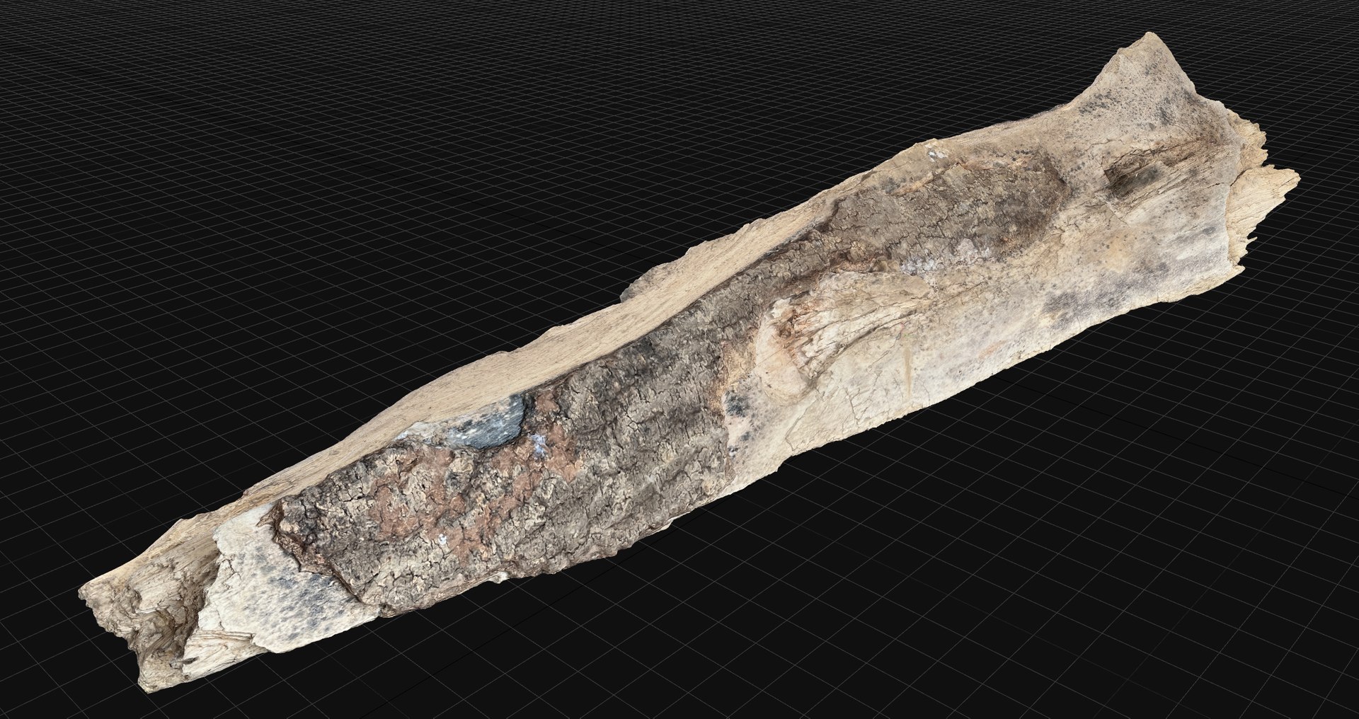 Peeling Tree Trunk In The Real World 3d Scan Model - TurboSquid 2225354