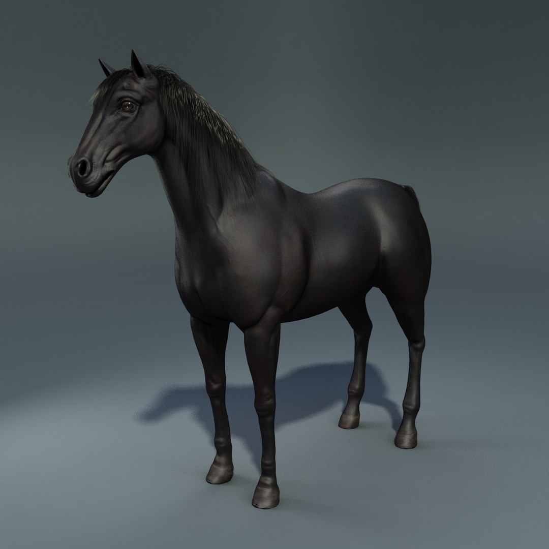 Max Horse Rig