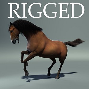 max horse rig