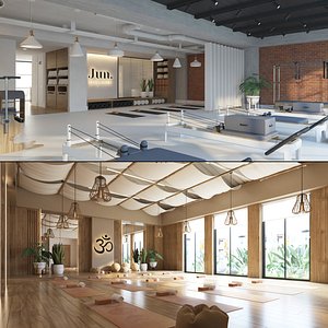 3D model Yoga and Pilates Studio Interior Bundle