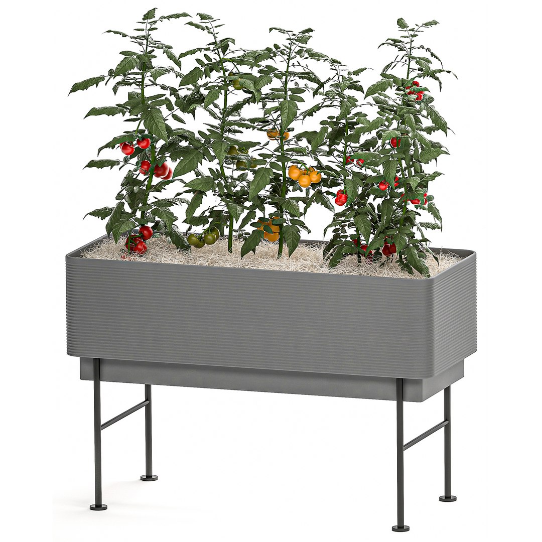 Kitchen Garden Pots Home 3D Model TurboSquid 1549779