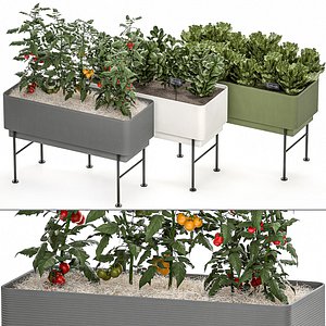 kitchen garden pots home 3D model