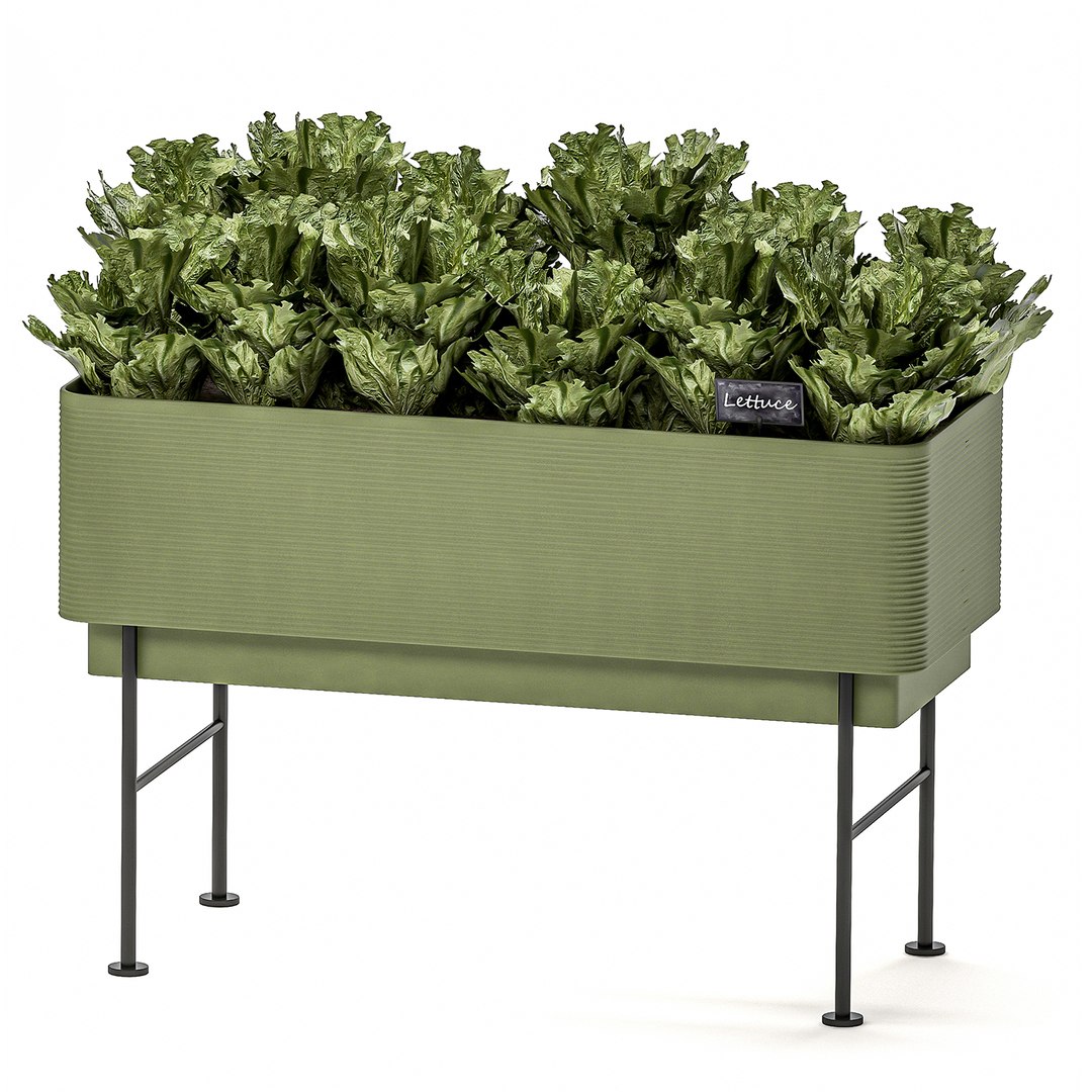 Kitchen Garden Pots Home 3D Model TurboSquid 1549779