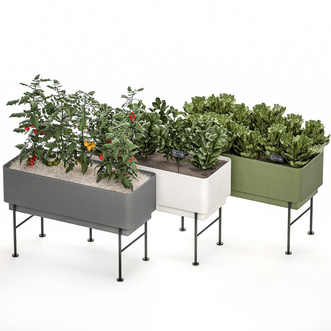 Kitchen Garden Pots Home 3D Model TurboSquid 1549779