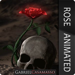 Rosa kordesii