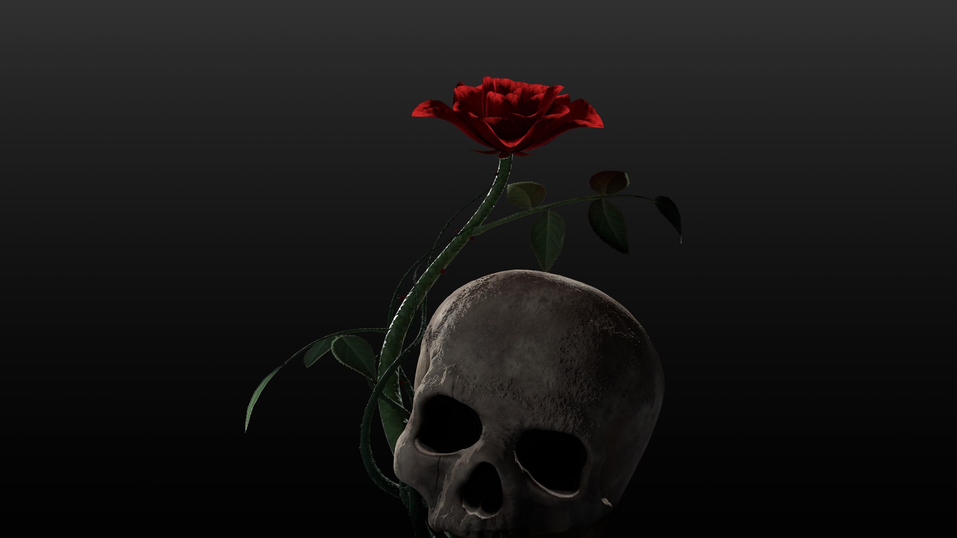 rosa kordesii 3D model https://p.turbosquid.com/ts-thumb/Lx/1Iy2L5/nJGWv7qv/productrenderblack/png/1503877196/1920x1080/fit_q87/51e674bb4f5b5ac7b593f62dc277091309ddfaac/productrenderblack.jpg