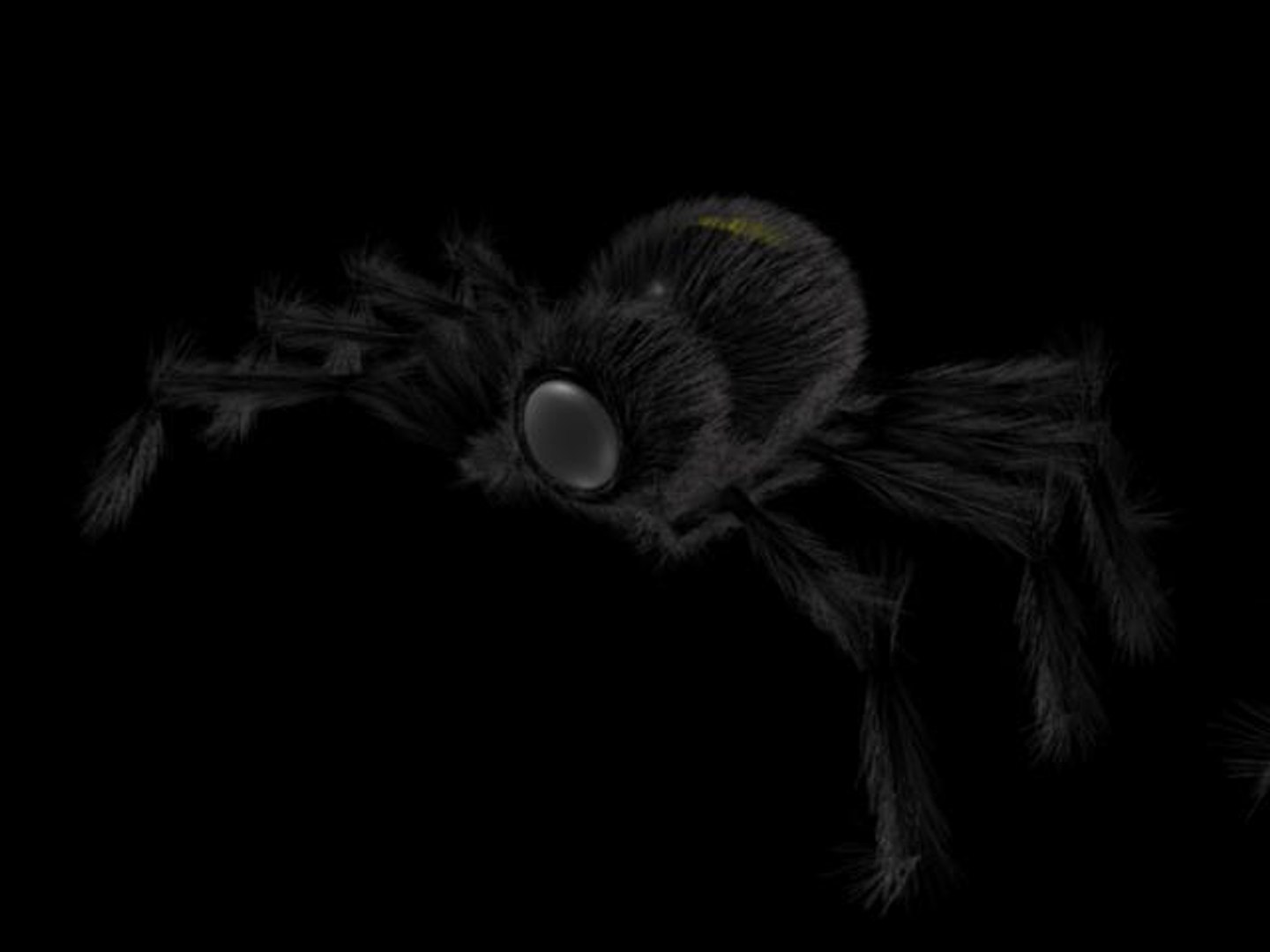 spider surveillance robot 3d model