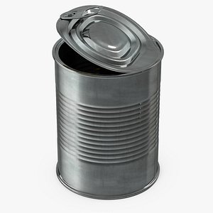 Opened Tin Can model