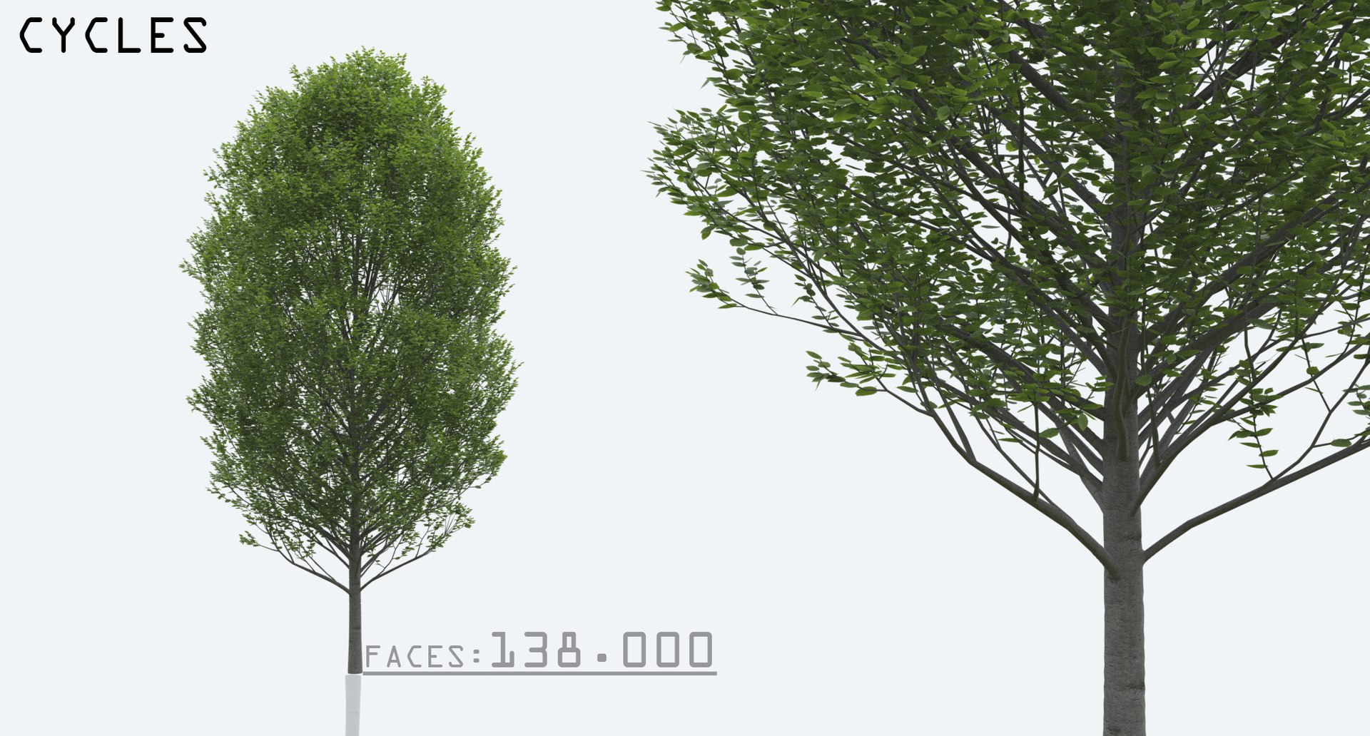3D hornbeam trees nature https://p.turbosquid.com/ts-thumb/Lx/JrUOmt/6Ybmt59e/3/png/1597422175/1920x1080/fit_q87/8f85977a8736bc11defede01d8e093b50efdc83e/3.jpg