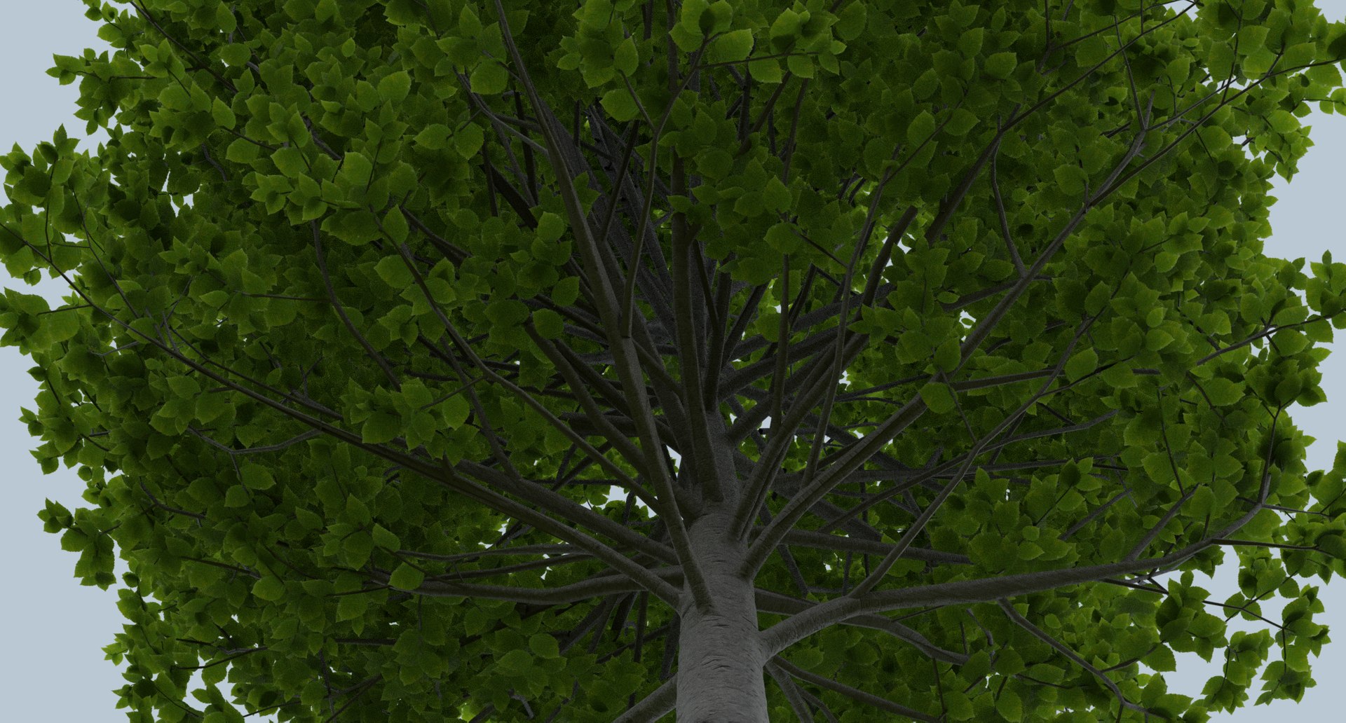 3D hornbeam trees nature https://p.turbosquid.com/ts-thumb/Lx/JrUOmt/aPrCQxzW/8/png/1597422194/1920x1080/fit_q87/082df760c8ea4c93ae6fb4084441dd02ee38a04a/8.jpg