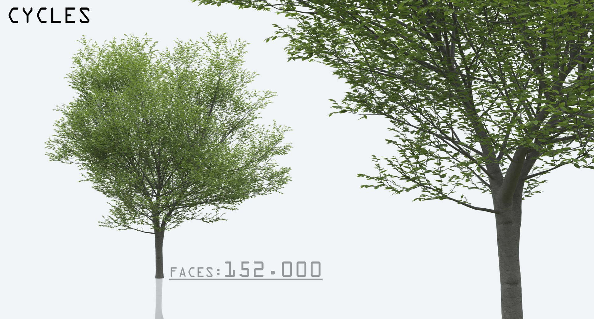 3D hornbeam trees nature https://p.turbosquid.com/ts-thumb/Lx/JrUOmt/dk9scsBs/5/png/1597422191/1920x1080/fit_q87/8965cf63bb4f8170820bf6f2460bb912738a00de/5.jpg