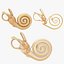Ear cochlea labyrinth model