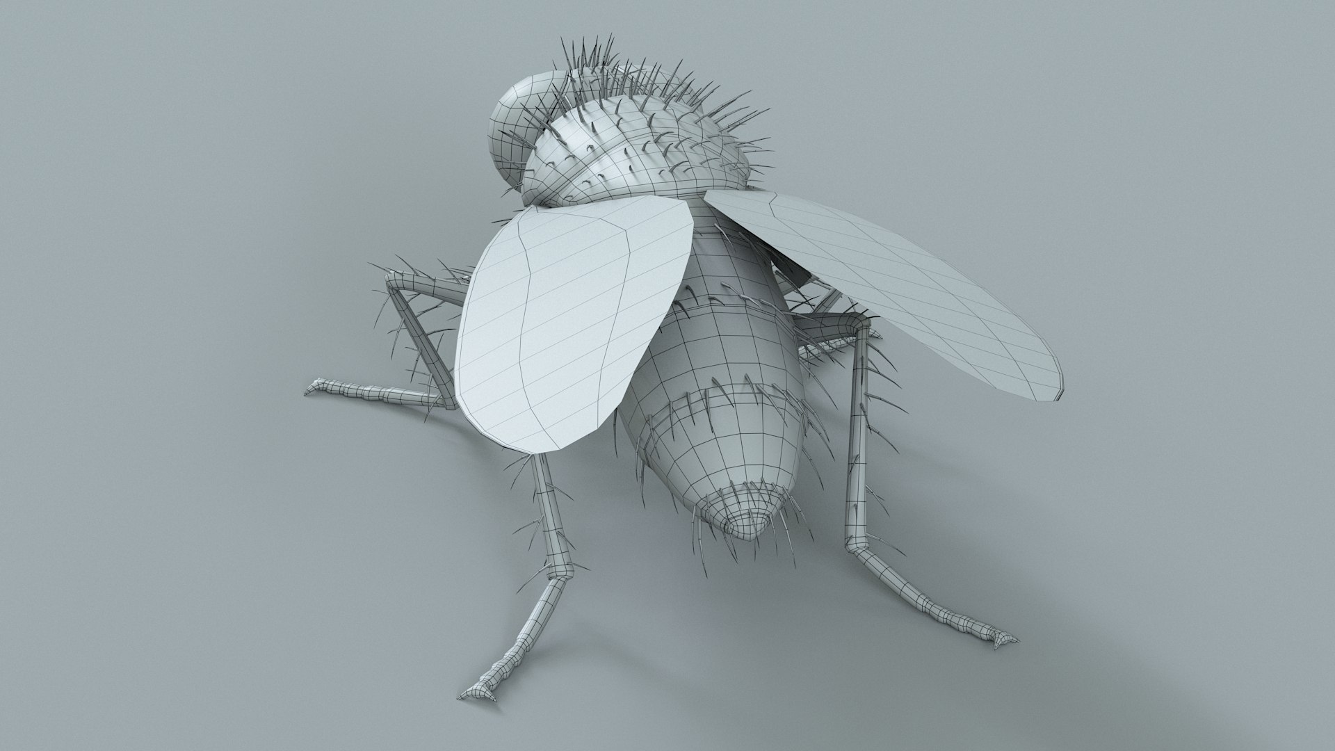 3D model Housefly Green Rigged Xgen https://p.turbosquid.com/ts-thumb/Lx/X4spGb/Zo/fly_green_rigged_27/jpg/1714999819/1920x1080/fit_q87/7bf0b39b9bc70c57d14c456652fbd41db1ab6524/fly_green_rigged_27.jpg