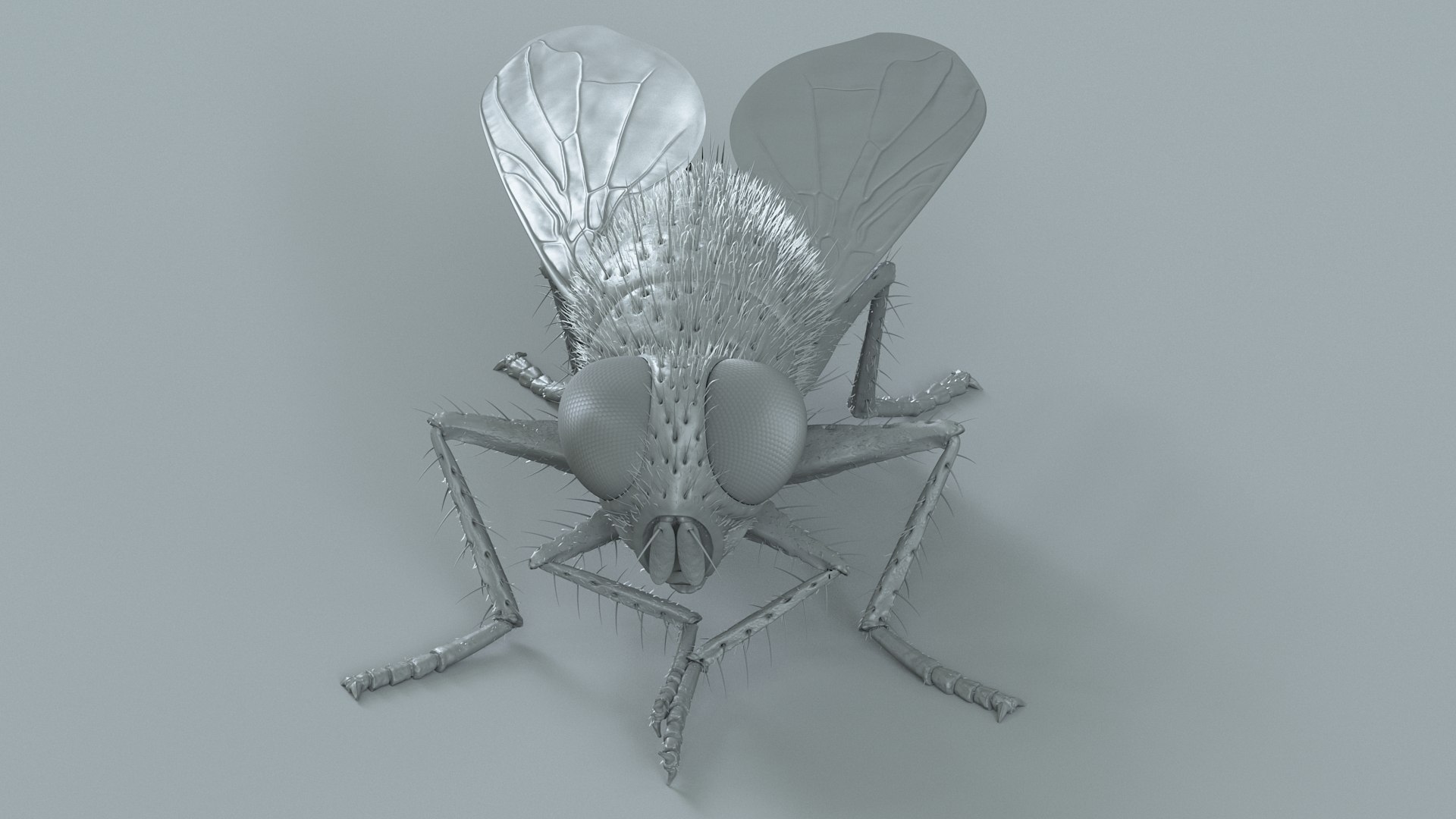 3D model Housefly Green Rigged Xgen https://p.turbosquid.com/ts-thumb/Lx/X4spGb/m9/fly_green_rigged_22/jpg/1714999812/1920x1080/fit_q87/81b8e61376cb71ed4da1d9f39e0bc4e2825bcab5/fly_green_rigged_22.jpg