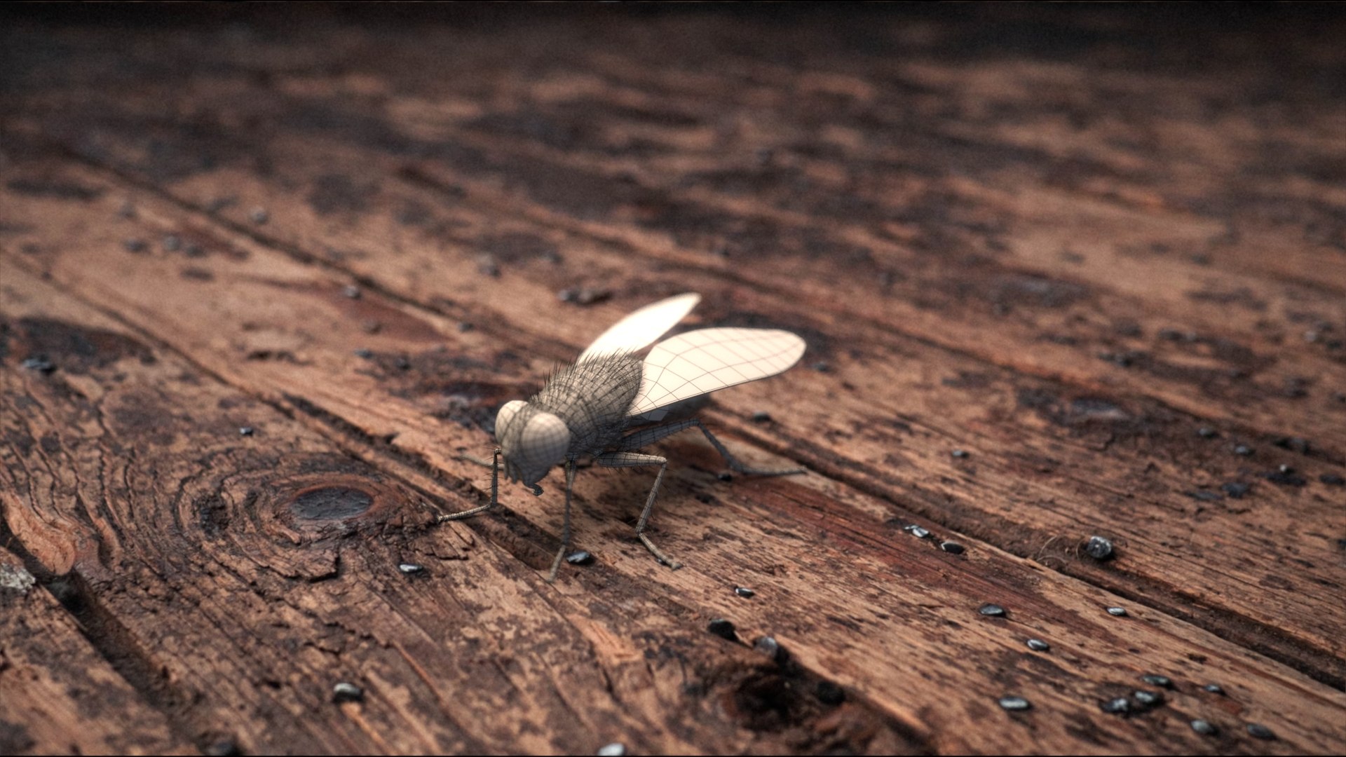 3D model Housefly Green Rigged Xgen https://p.turbosquid.com/ts-thumb/Lx/X4spGb/mA/fly_green_scene_01_wf/jpg/1714999172/1920x1080/fit_q87/7d47760e1143d8936ae374b2cba5185fb9d442c1/fly_green_scene_01_wf.jpg