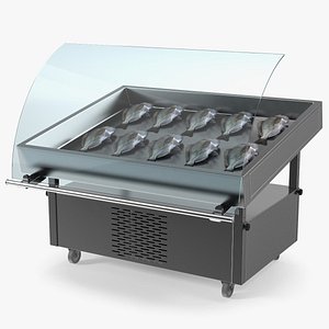 Gilthead Dorado in Stainless Steel Fish Display Counter