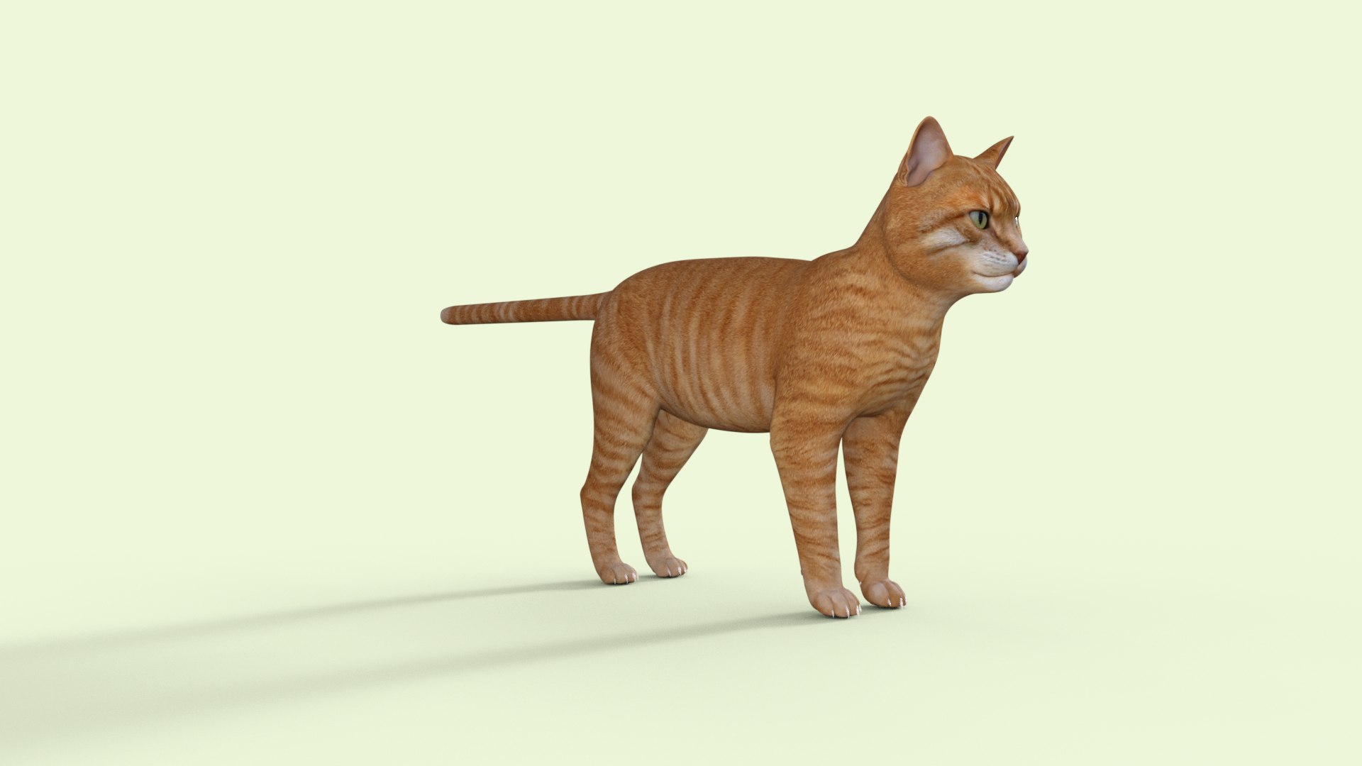 Yellow Cat Rigged Model - TurboSquid 2208920