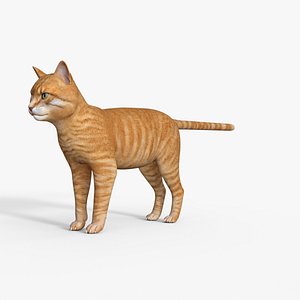 3D Yellow Cat Rigged