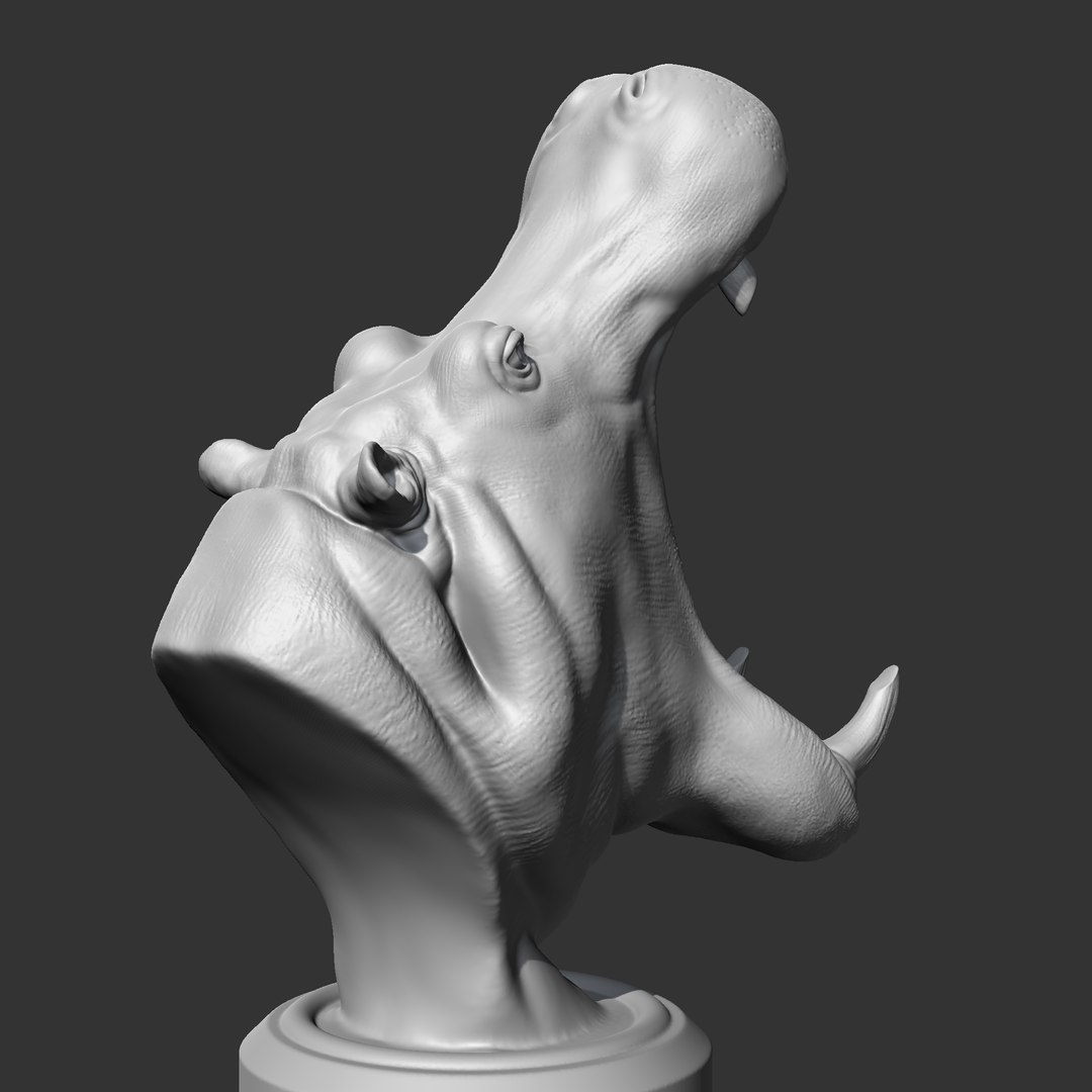 3D Hippo Head AM11 3D print model model - TurboSquid 2065461
