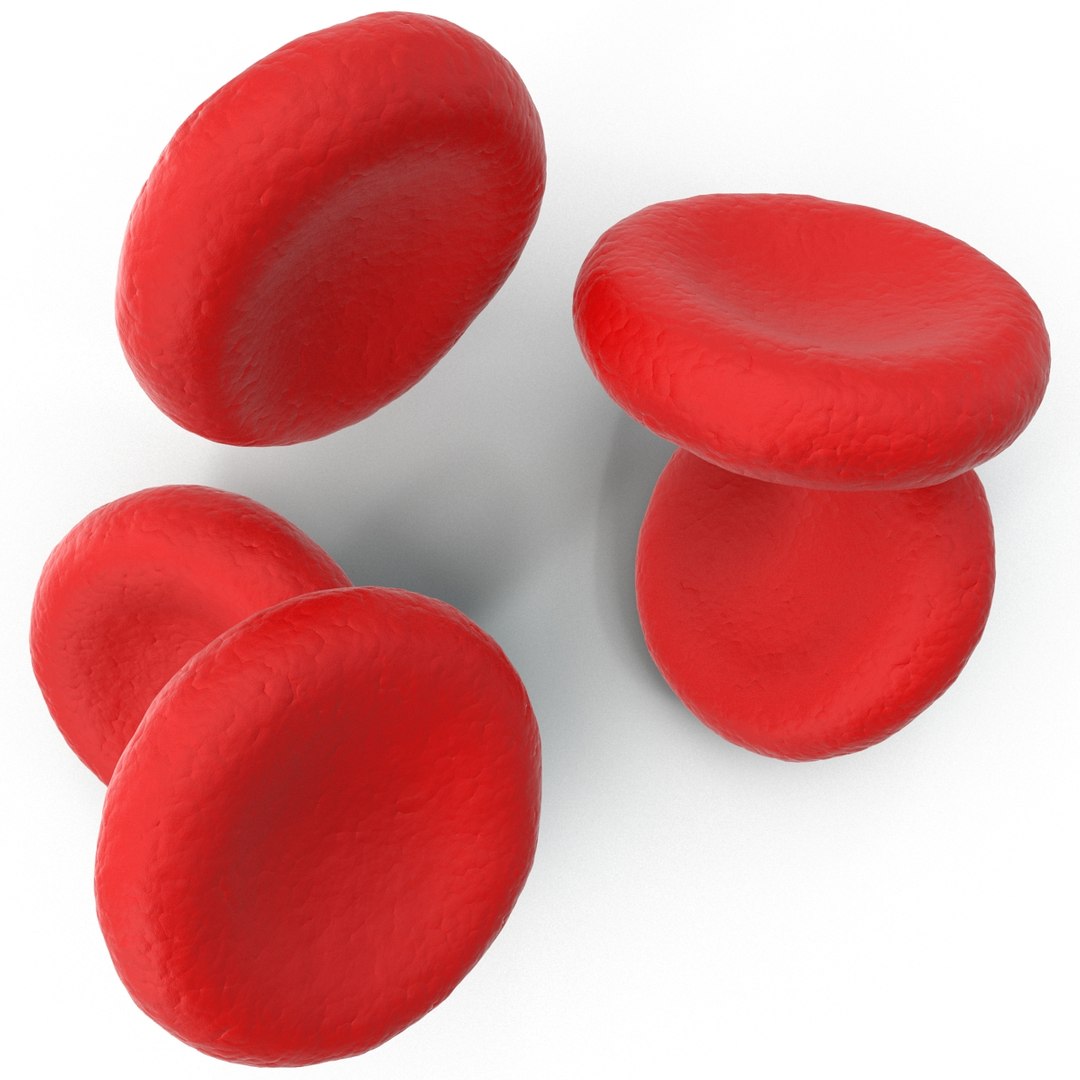 3d Model Red Blood Cell
