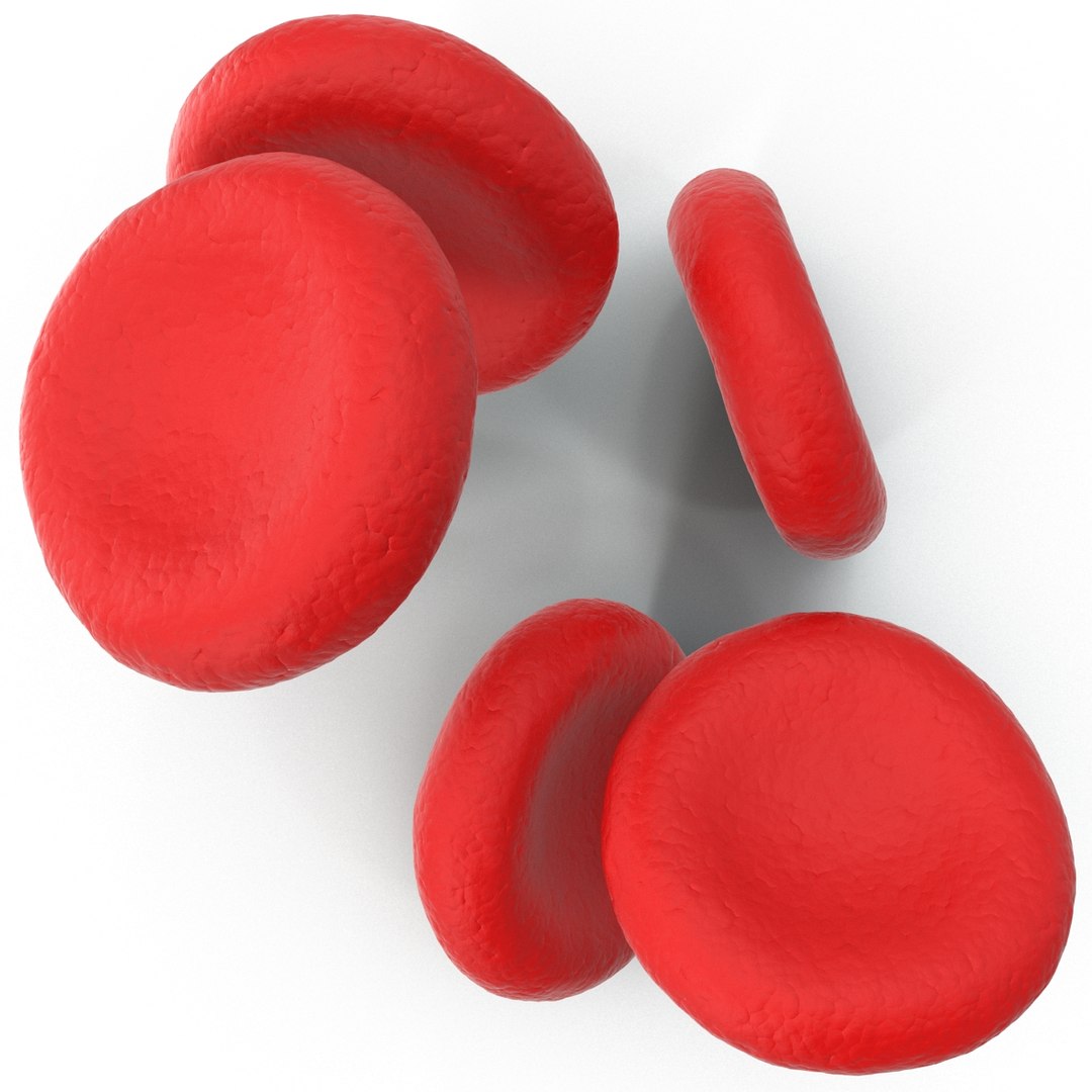 3d model red blood cell https://p.turbosquid.com/ts-thumb/Lx/yYQDvh/mM1DnHcF/redbloodcell_9/jpg/1395276605/1920x1080/fit_q87/d5a09fcb721419dd8dee84ffcc2902396cc952a5/redbloodcell_9.jpg