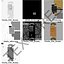 3d solid rocket booster