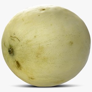 Honeydew Melon
