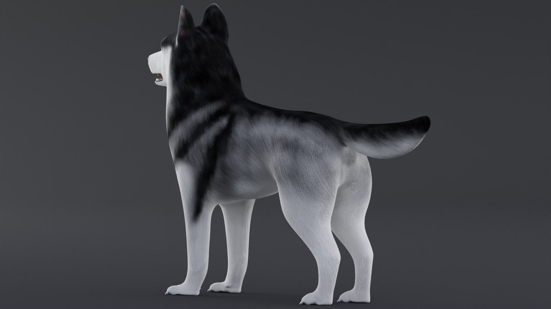 Dog Vr Ar 3D Model - TurboSquid 1609020