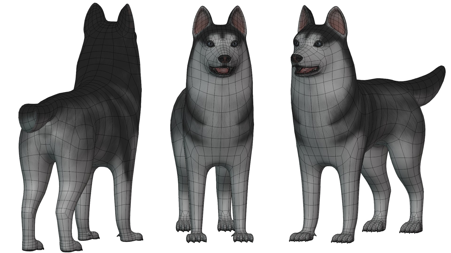 Dog Vr Ar 3D Model - TurboSquid 1609020