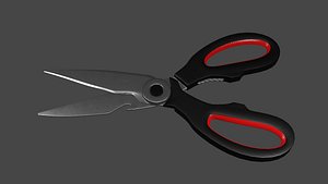 Kitchen Scissors