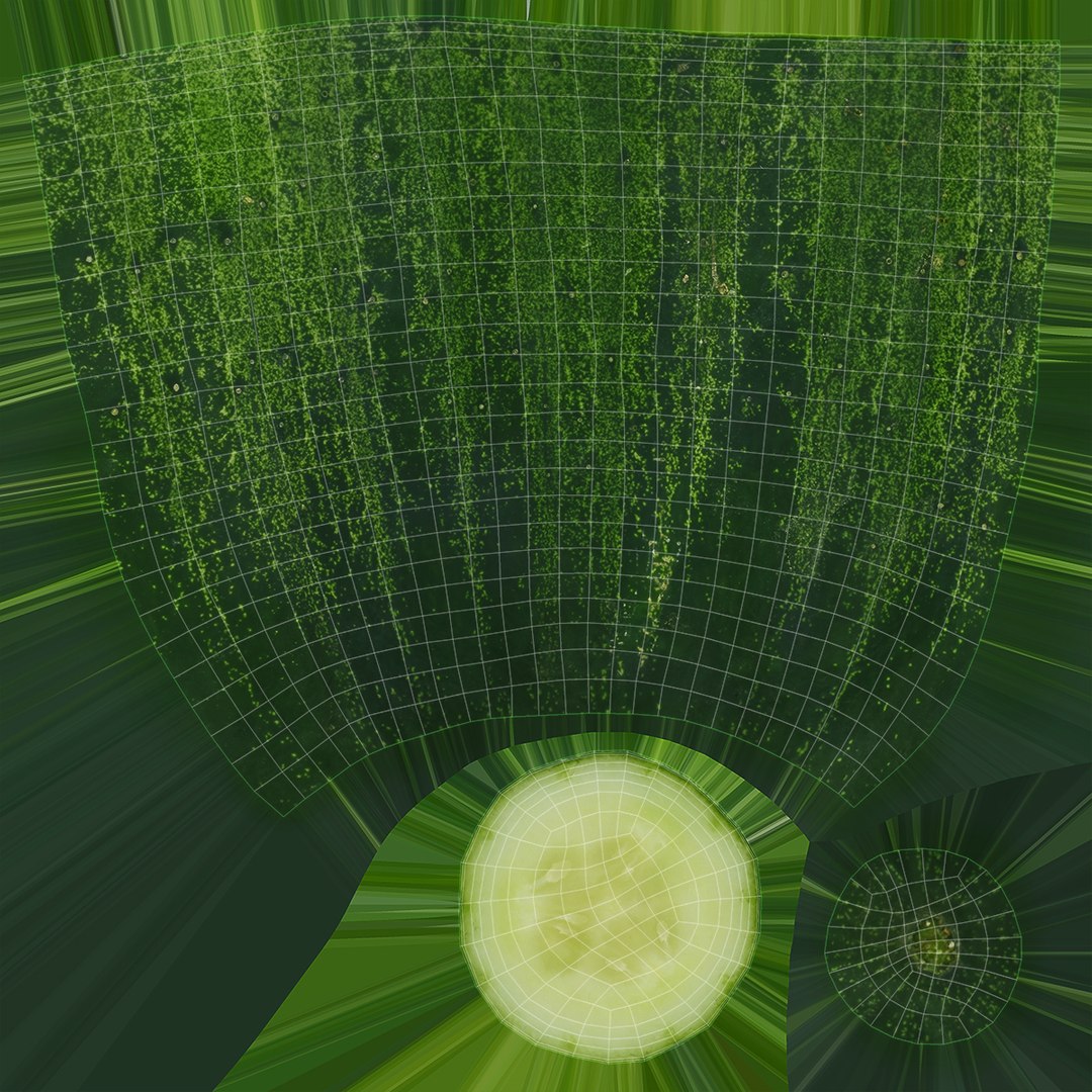 3D model food cucumber fruit https://p.turbosquid.com/ts-thumb/Ly/SGCpJk/6U/39/jpg/1613918028/1920x1080/fit_q87/526b49243b4649f82f70270ff798ccd605f97c33/39.jpg