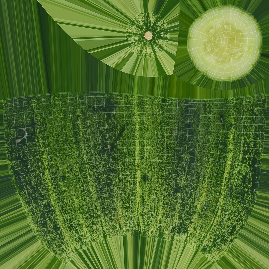 3D model food cucumber fruit https://p.turbosquid.com/ts-thumb/Ly/SGCpJk/cp/30/jpg/1613918027/1920x1080/fit_q87/6b52cc86c7f7838e93bc6829abc9edd6478ab45f/30.jpg