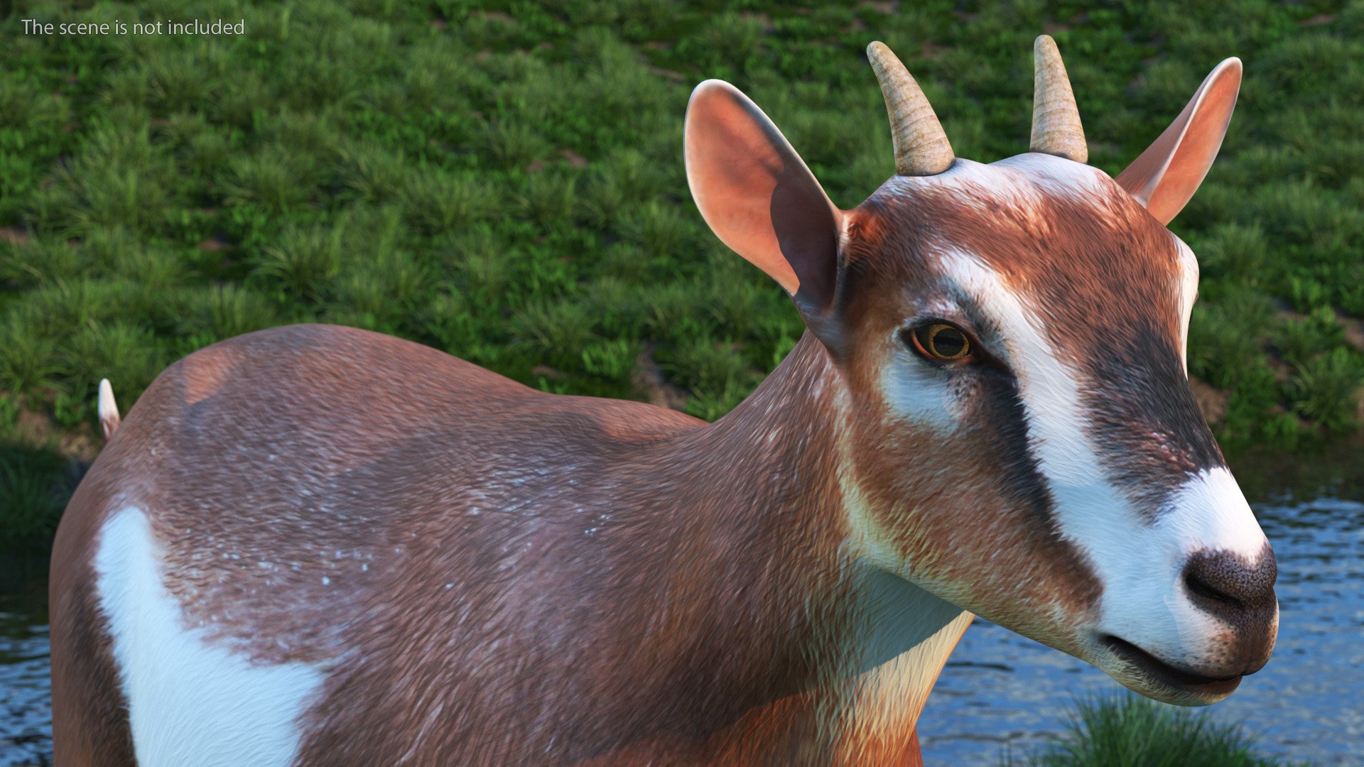 Walking Goat 3D Model - TurboSquid 1991766
