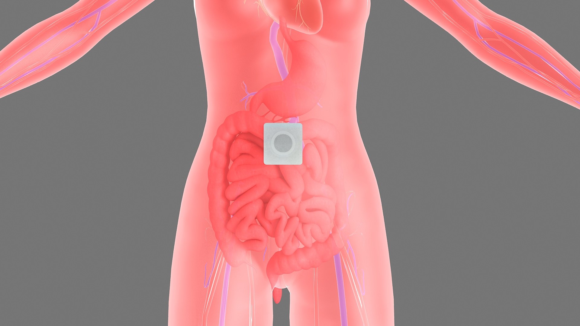 Stomach patch patch animation 3D TurboSquid 2156007