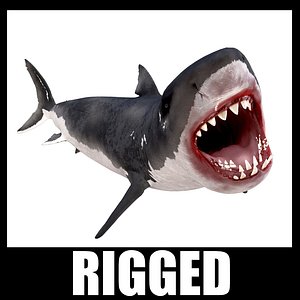 White Shark Rigged