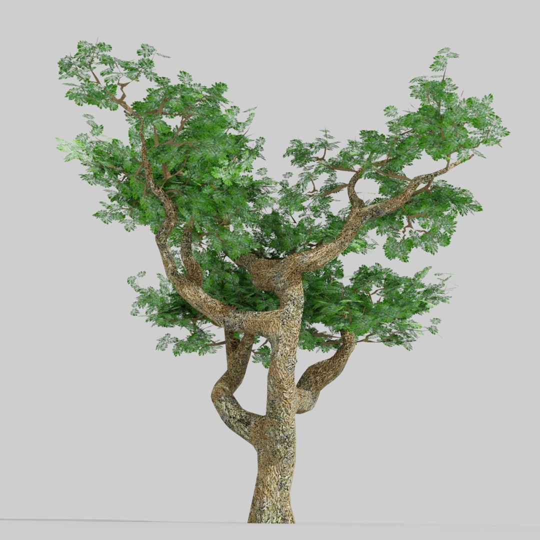 3D Tree Real Time Model - TurboSquid 1248925