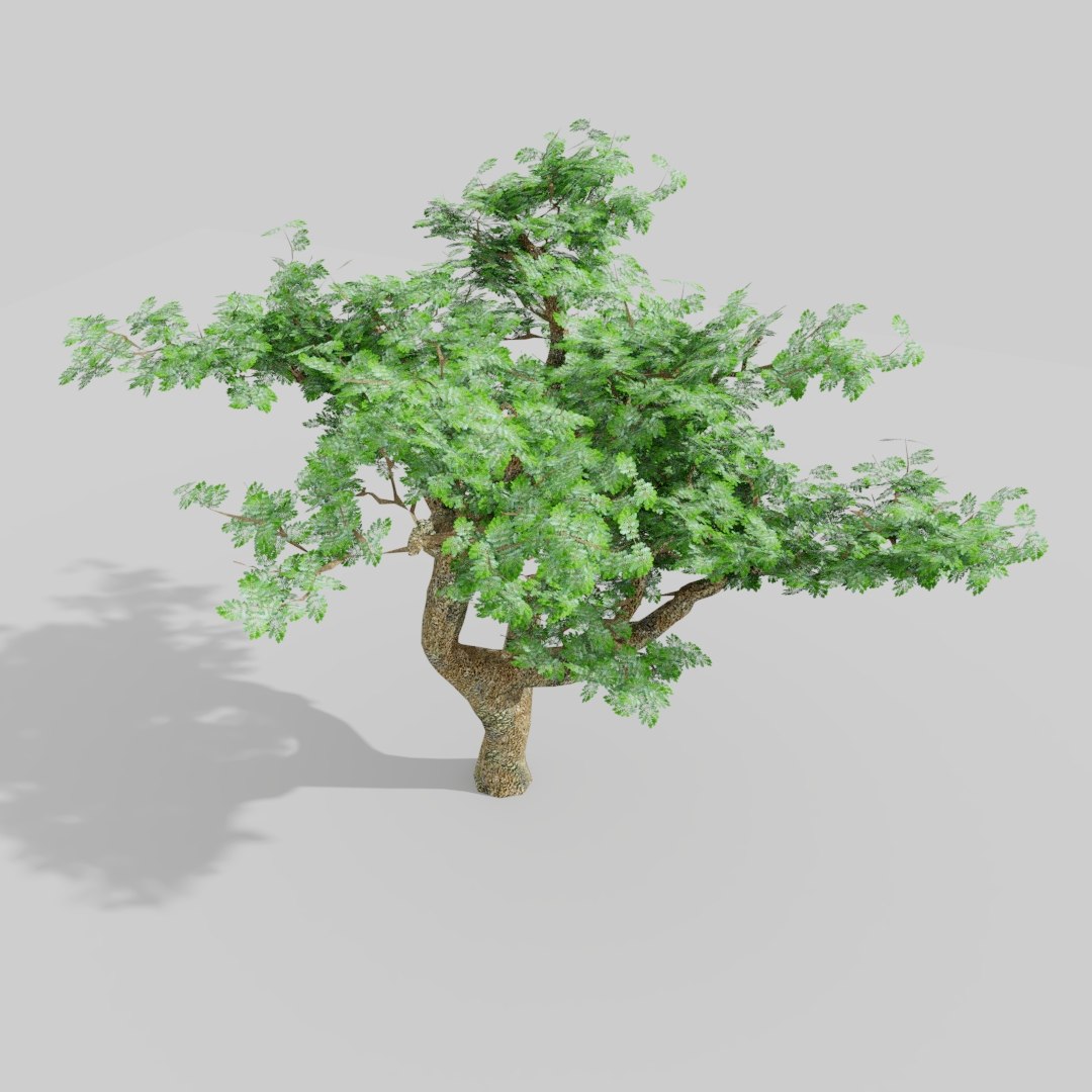 3d Tree Real Time Model - Turbosquid 1248925