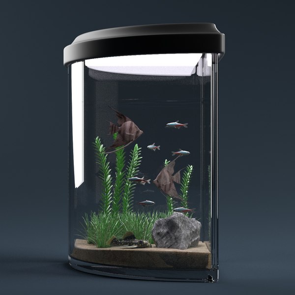 aquarium equipped decorations 3ds