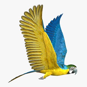 Parrot (2) (RIGGED)