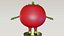Personaggio dei cartoni animati di pomodoro Rig